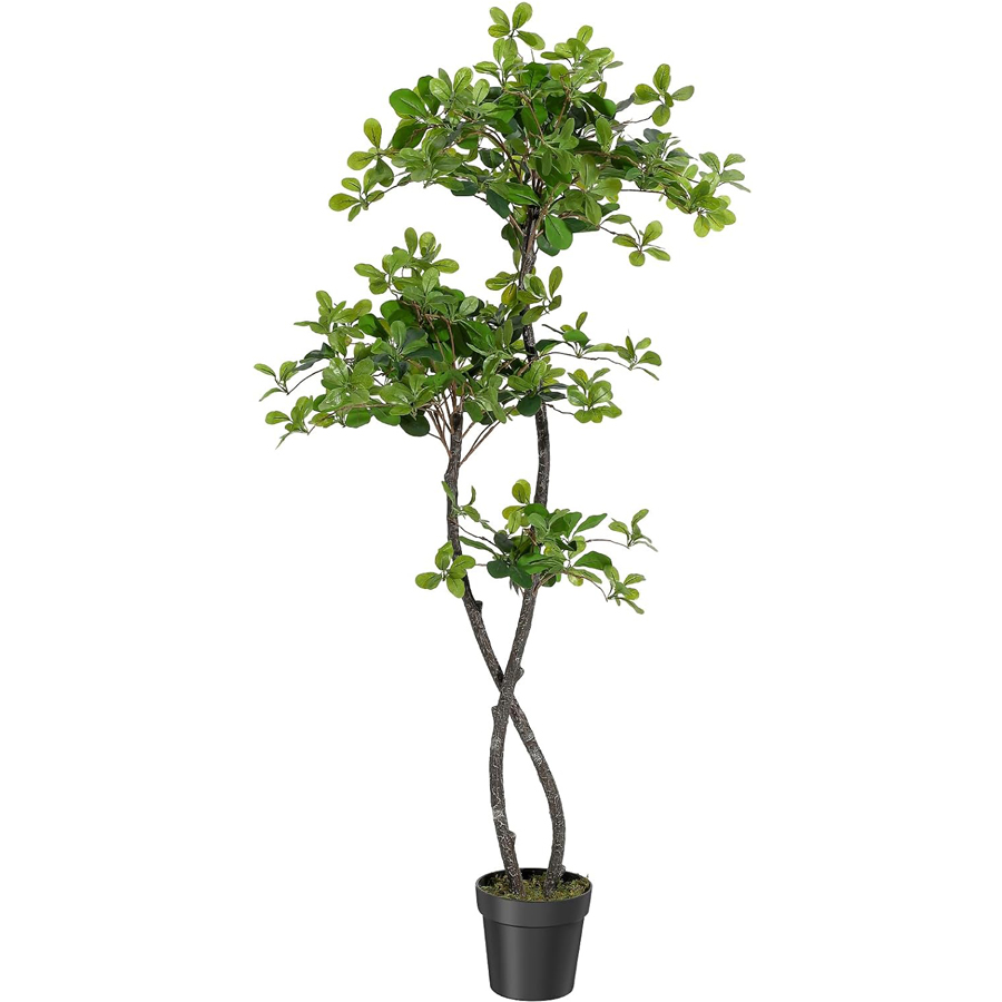 Baby Nursery Ideas - Plantas Artificiales de Interior, Olivo Negro